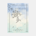 Peach Blossom Whispe